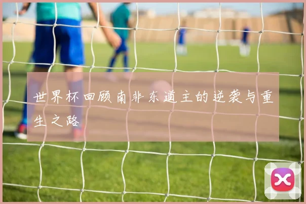 世界杯回顾南非东道主的逆袭与重生之路