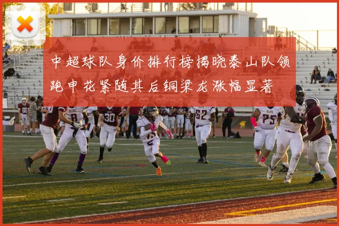 中超球队身价排行榜揭晓泰山队领跑申花紧随其后铜梁龙涨幅显著